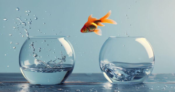 Lateral career move concept (fish jumping from bowl to bowl)